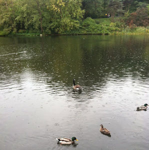 Meet your Posher, Anna